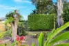 41 Pyne Street, Edmonton, Qld 4869-Image