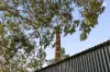 41 Ross Street, Forest Lodge, NSW 2037-Image