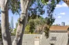 41 Ross Street, Forest Lodge, NSW 2037-Image