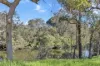 41 Salter Street, Pinjarra, WA 6208-Image