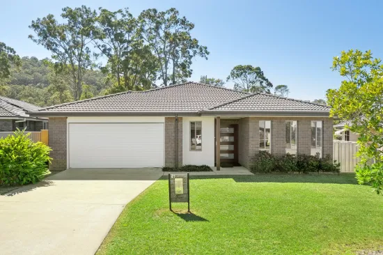 41 Scullin Street, Townsend, NSW 2463