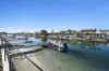 41 Seaspray Street, Paradise Point, Qld 4216-Image