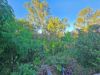 41 Sovereign Drive, Deebing Heights QLD 4306-Image