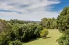 41 Tallowwood Place, Black Mountain, Qld 4563-Image