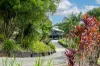 41 Tallowwood Place, Black Mountain, Qld 4563-Image