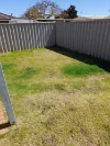 41 Tamblyn Street, Spalding, WA 6530-Image