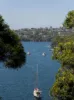 41 The Scarp, Castlecrag, NSW 2068-Image