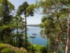 41 The Scarp, Castlecrag NSW 2068-Image