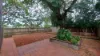 41 Turner Street, Corinda, Qld 4075-Image