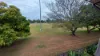 41 Turner Street, Corinda, Qld 4075-Image