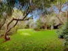 41 Turner Street, North Wonthaggi, Vic 3995-Image