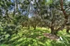 41 Walford Road, Kalgan, WA 6330-Image
