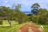 41 Walford Road, Kalgan, WA 6330-Image