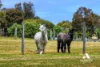 41 Walford Road, Kalgan, WA 6330-Image