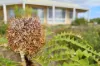 41 Whale Bay Drive, Hopetoun, WA 6348-Image