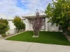 41 Whitmore Loop, Harrisdale, WA 6112