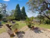 41 Winbourne Road, Hazelbrook, NSW 2779-Image