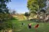 41 Woodend Road, Woodend, Qld 4305-Image