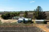 41 Wutke Road, Cobdogla SA 5346-Image