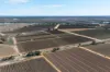 41 Wutke Road, Cobdogla SA 5346-Image