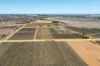 41 Wutke Road, Cobdogla SA 5346-Image