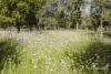 410 Anketell Road, Stoneville, WA 6081-Image
