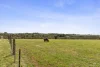 410 Gundrys Road, Bellbrae, Vic 3228-Image