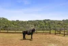 410 Gundrys Road, Bellbrae, Vic 3228-Image