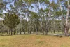 410 Gundrys Road, Bellbrae, Vic 3228-Image