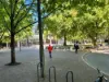 411/222 City Walk, City, ACT 2601-Image