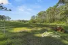 411 Hawken Road, Tomerong, NSW 2540-Image
