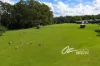 411 Hawken Road, Tomerong, NSW 2540-Image