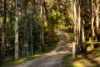 412 Specimen Gully Road, Faraday, Vic 3451-Image