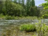 4124 Mansfield-Woods Point Road, Jamieson, Vic 3723-Image