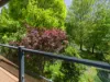 4124 Mansfield-Woods Point Road, Jamieson, Vic 3723-Image