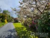 414 Gravelly Beach Road, Gravelly Beach, Tas 7276-Image