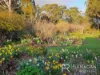 414 Gravelly Beach Road, Gravelly Beach, Tas 7276-Image