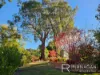 414 Gravelly Beach Road, Gravelly Beach, Tas 7276-Image