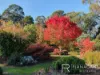 414 Gravelly Beach Road, Gravelly Beach, Tas 7276-Image