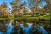 414 Old Princes Highway, Blakiston SA 5250-Image