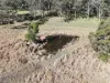 414 Tallwood Drive, Rainbow Flat, NSW 2430-Image