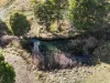 414 Tallwood Drive, Rainbow Flat, NSW 2430-Image