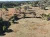 414 Tallwood Drive, Rainbow Flat, NSW 2430-Image