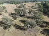 414 Tallwood Drive, Rainbow Flat, NSW 2430-Image