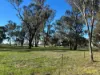 415 Kilmarnock Road, Berrigan, NSW 2712-Image