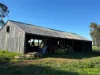 415 Kilmarnock Road, Berrigan, NSW 2712-Image
