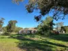 415 Kilmarnock Road, Berrigan, NSW 2712-Image