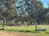 415 Kilmarnock Road, Berrigan, NSW 2712-Image