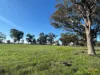 415 Kilmarnock Road, Berrigan, NSW 2712-Image