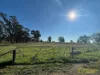 415 Kilmarnock Road, Berrigan, NSW 2712-Image
